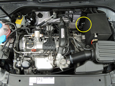 DSCN4871.jpg